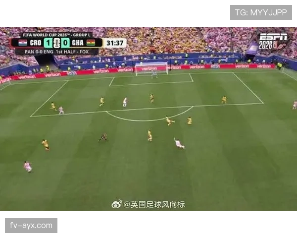 加纳世界杯小组赛回顾：末轮输球无缘淘汰赛资格